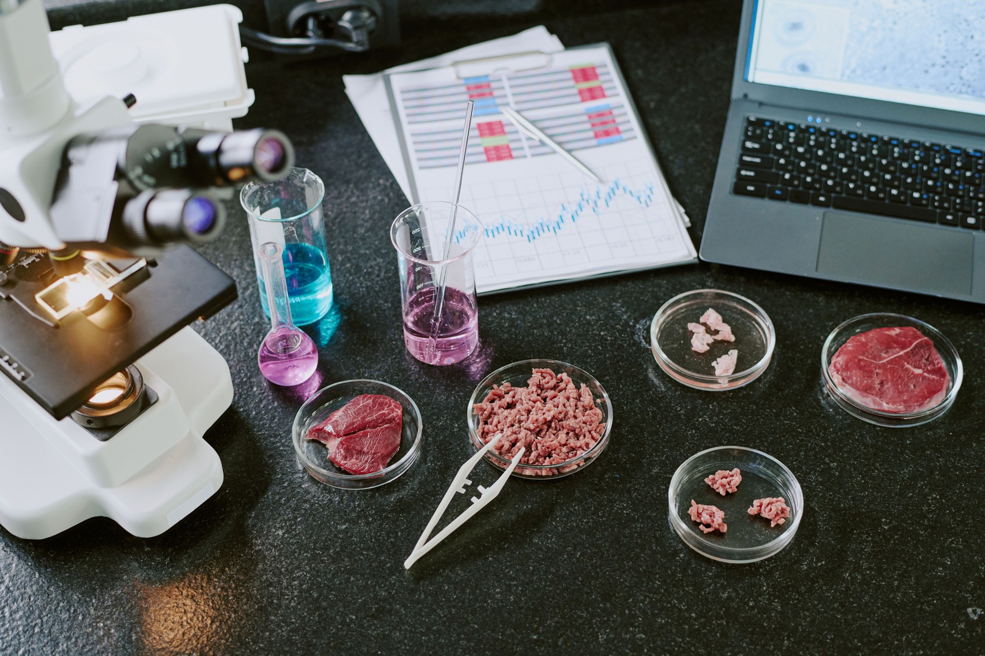Conducting Food Analysis in Laboratory Setting