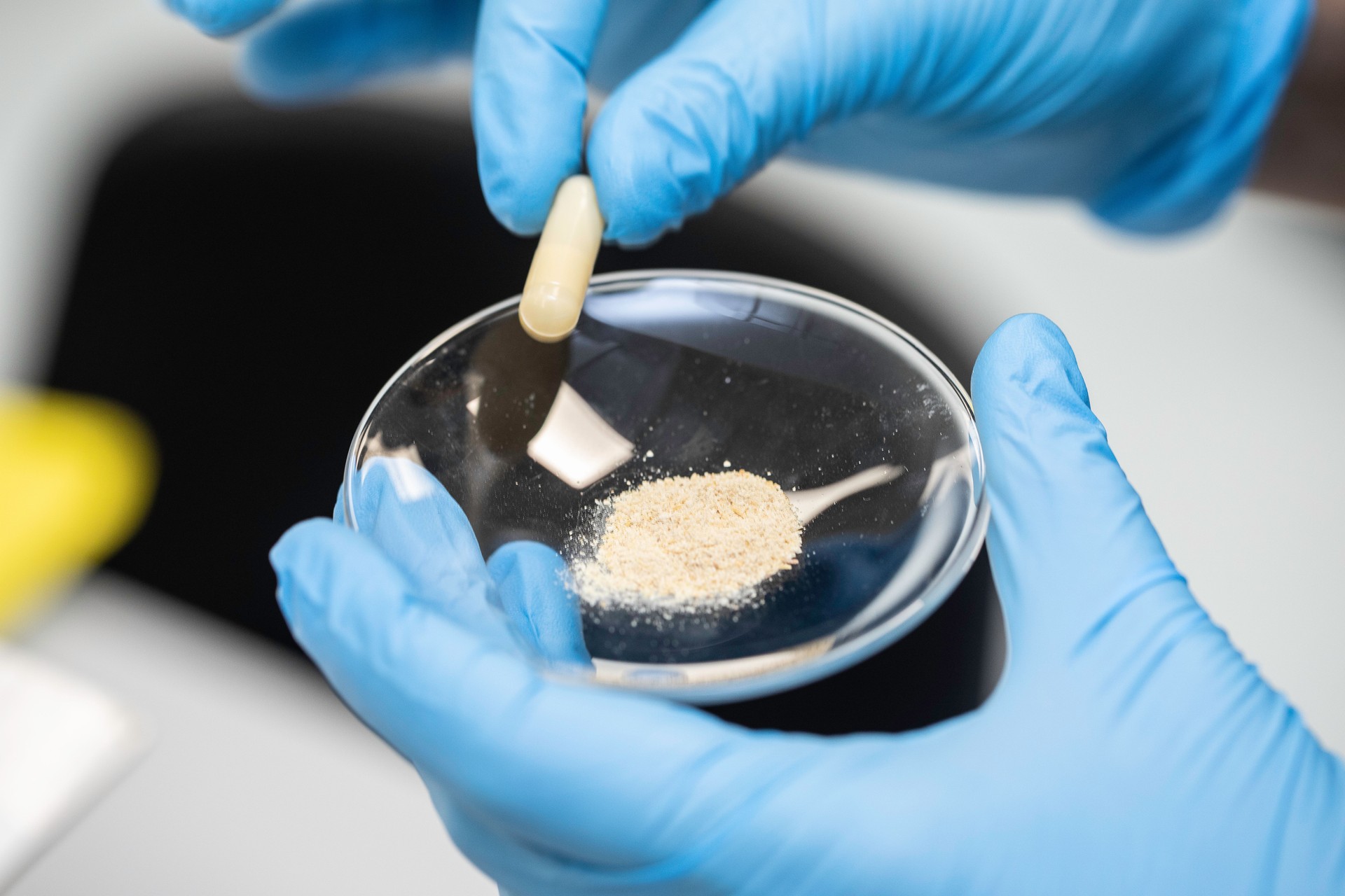 Hands in blue gloves holding lab glassware with beige powder
